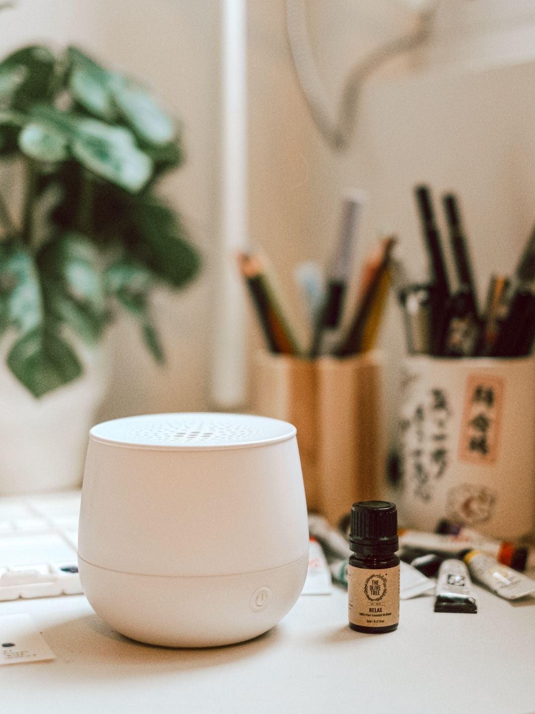 Rosehip Seed Virgin Oil Brighten Skin Tone