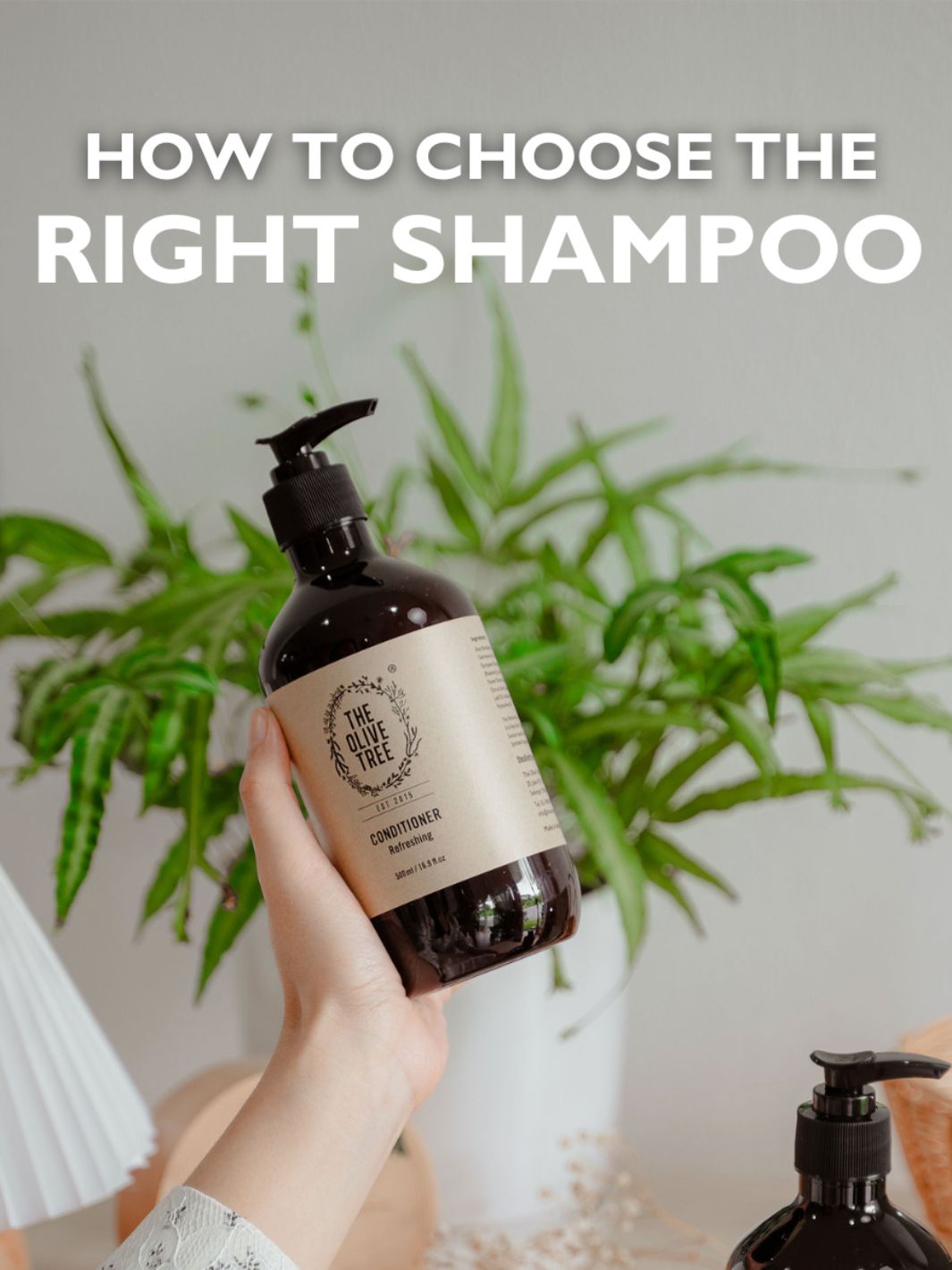 How To Choose The Right Shampoo For Your Hair Type and Scalp Condition?