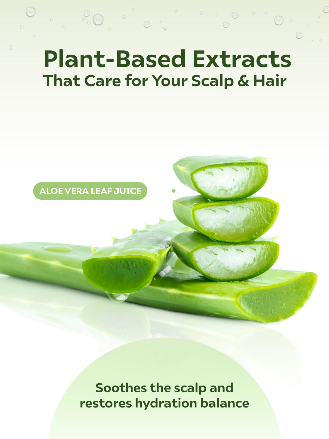 [Bundle of 3] Nature Volume Shampoo 500ml x 3