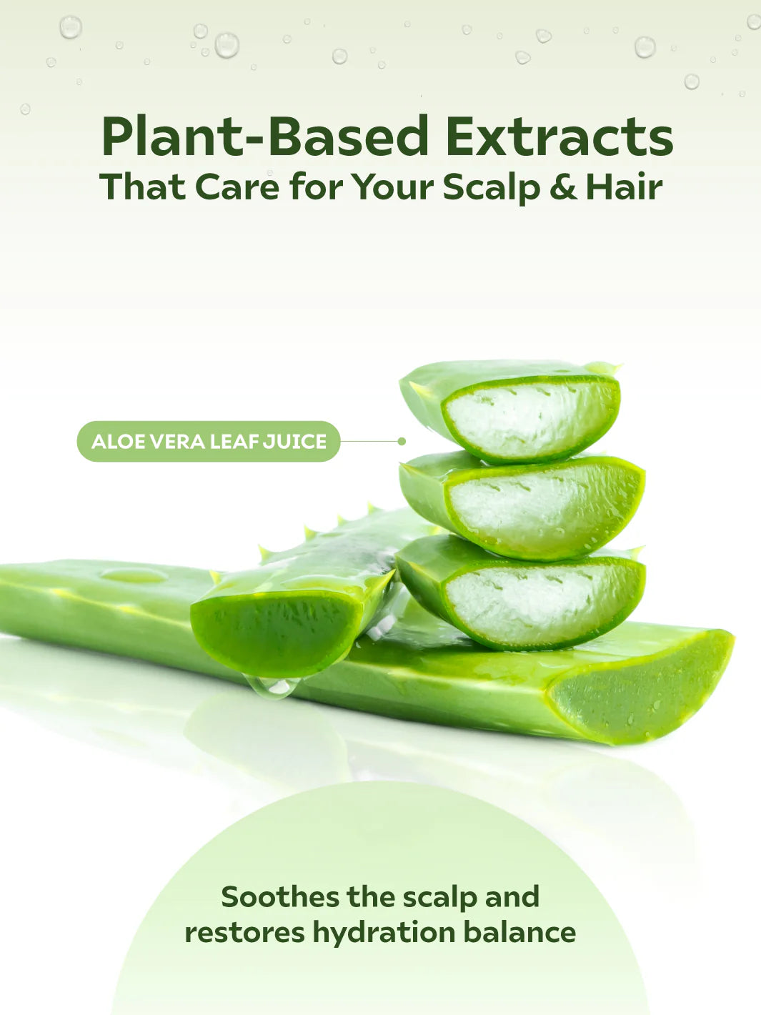 Oil Balance Shampoo Set (250ml x 2)