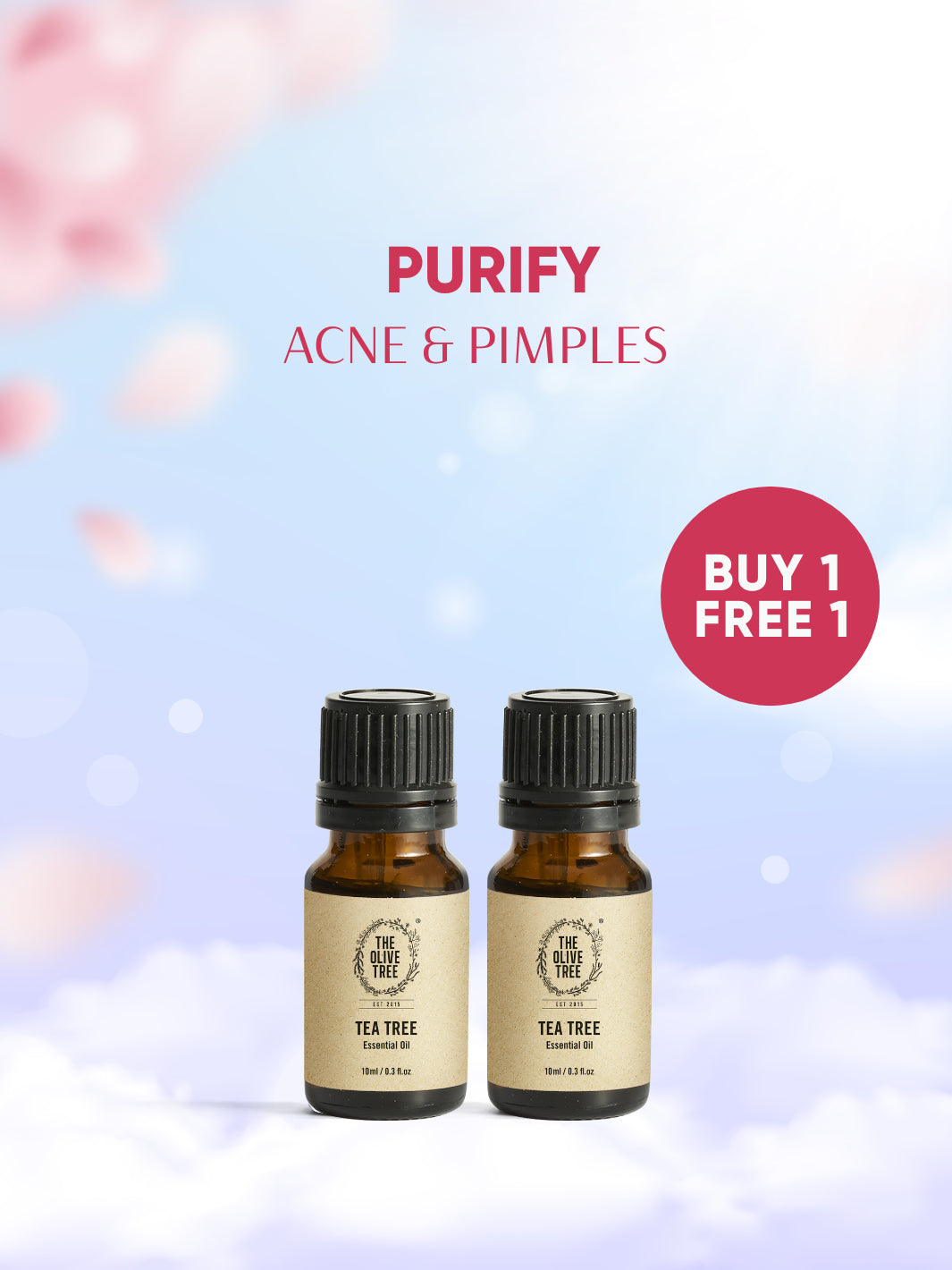 Products – The Olive Tree Products – The Olive Tree