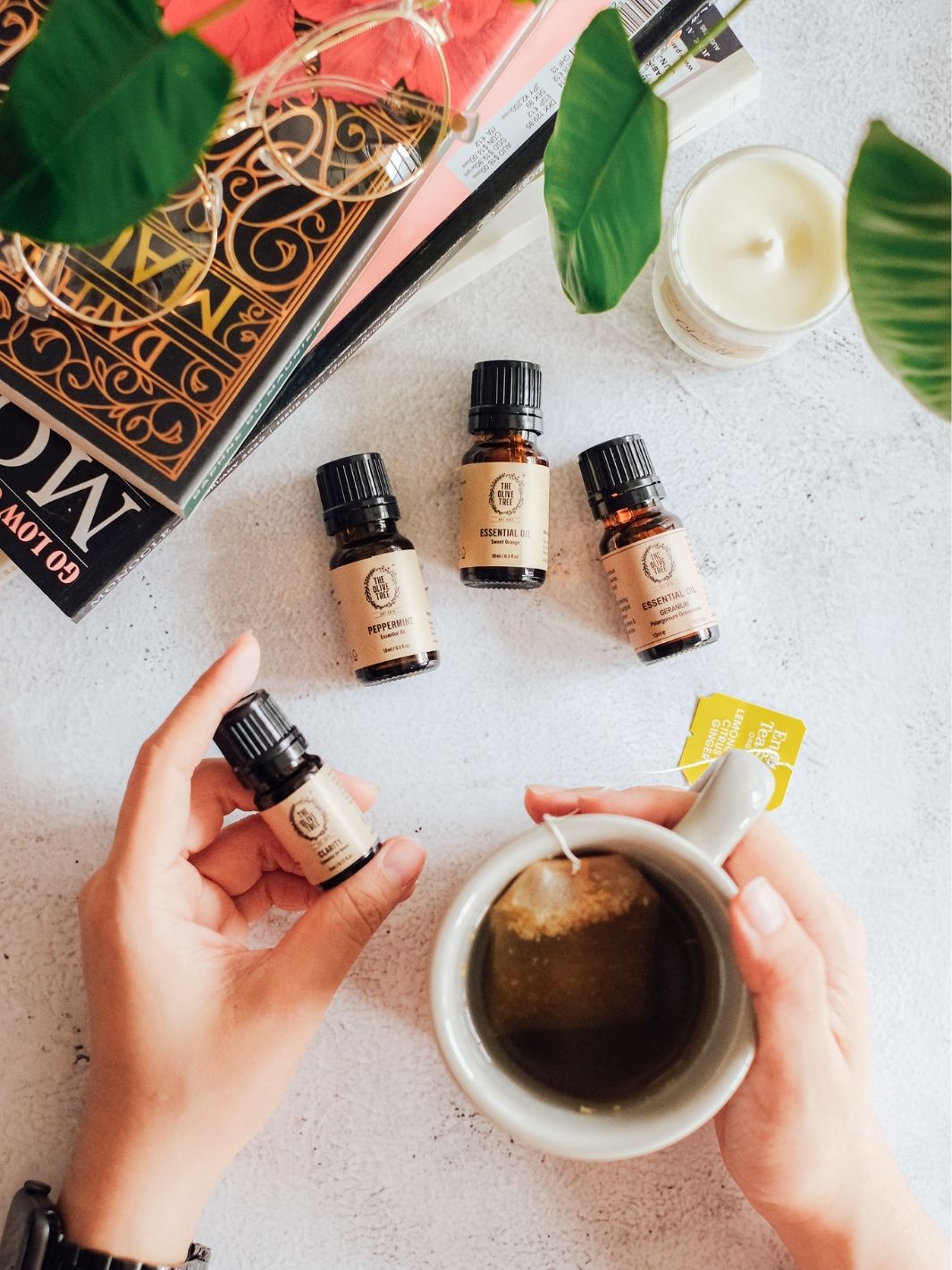 The Olive Tree Aromatherapy Essential Oil Diffuser 100% Pure