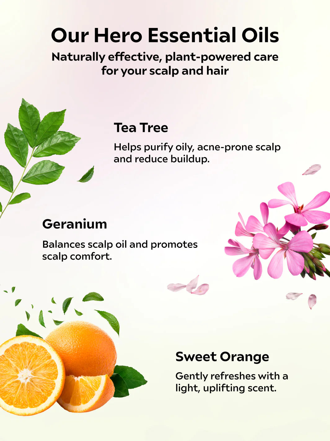 Oil Balance Shampoo Set (250ml x 2)