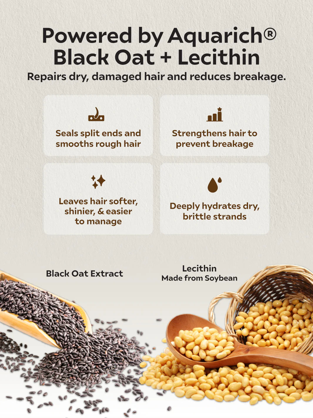 Oil Balance Shampoo Set (250ml x 2)