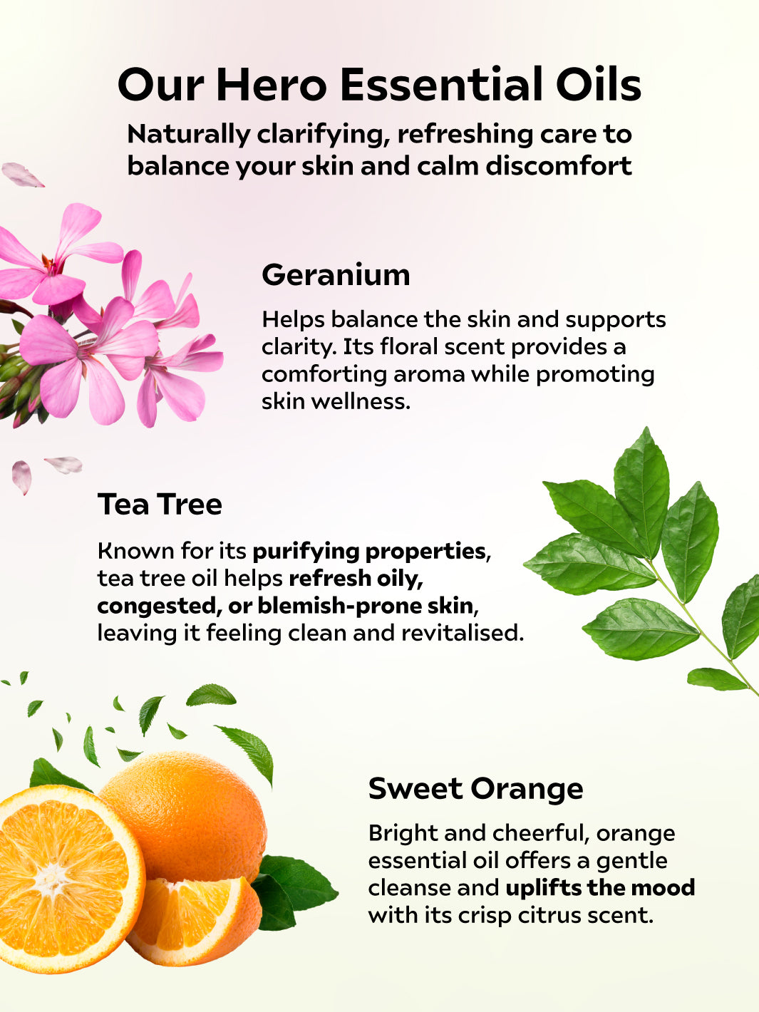 [New] Geranium Tea Tree Body Wash 500ml
