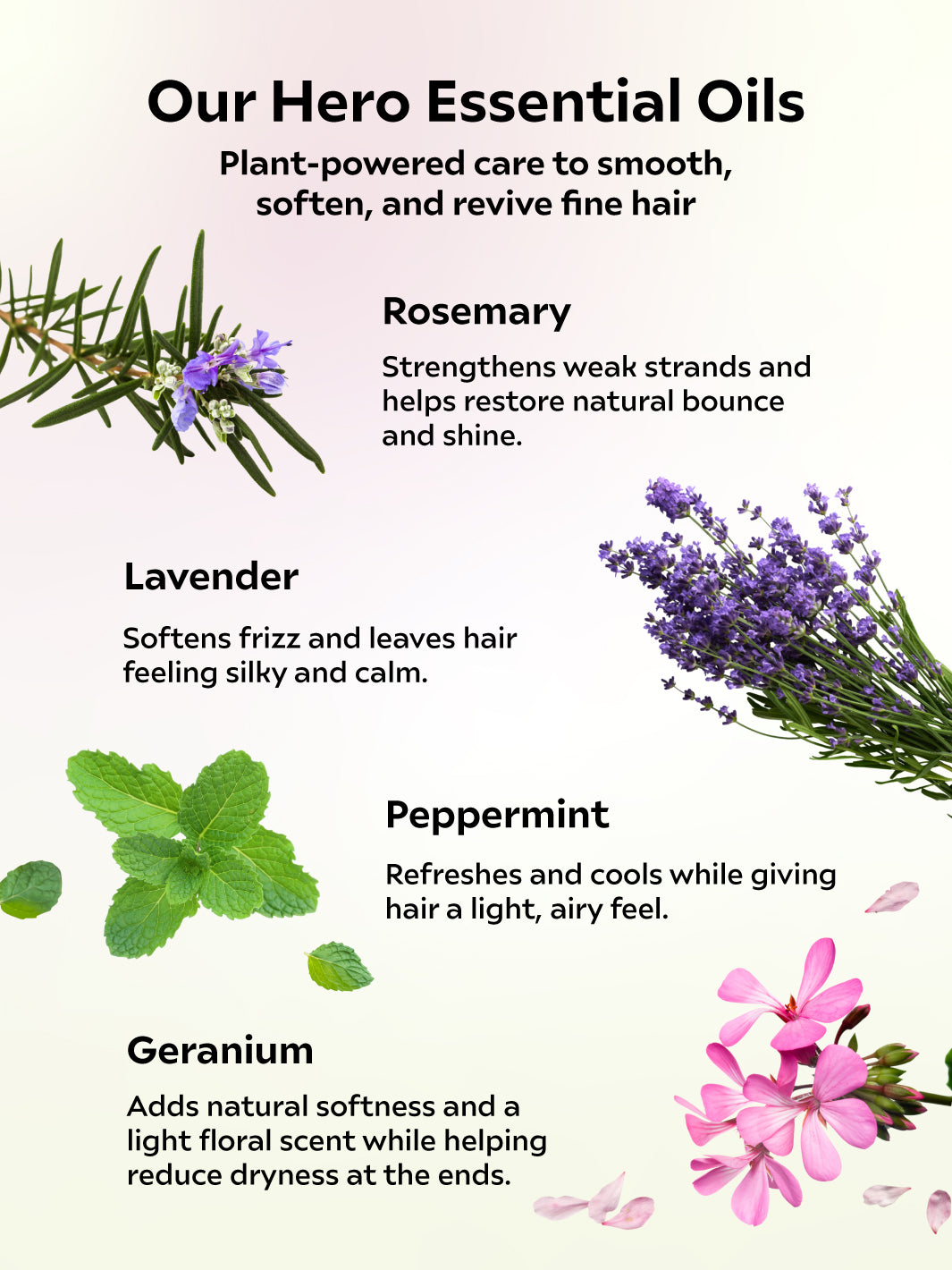 Nature Volume Shampoo  For Hair Loss Concern