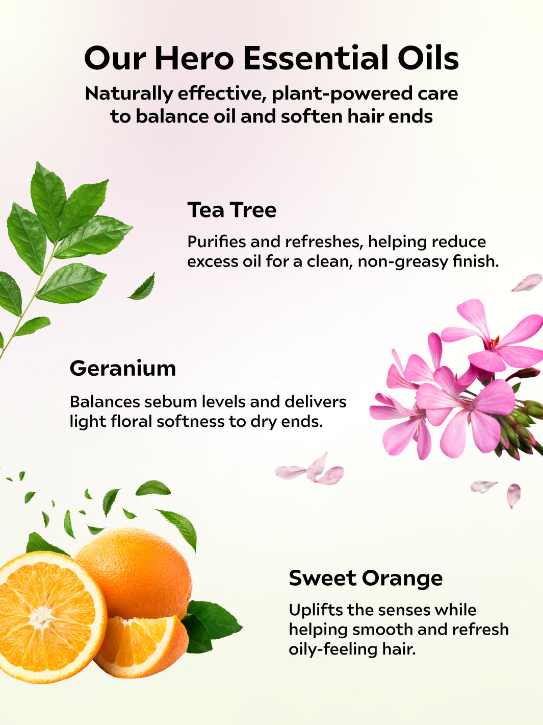 Conditioner Oil Balance For Dry &amp; Frizzy Ends