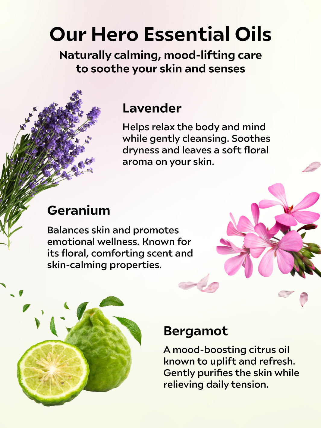 Lavender Bergamot Body Wash &amp; Lotion Set