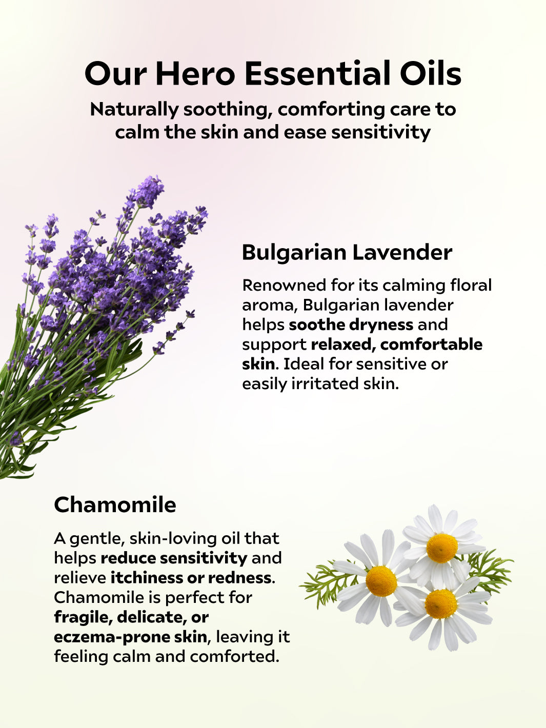 [New] Gentle Lavender Body Wash 500ml For Sensitive Skin