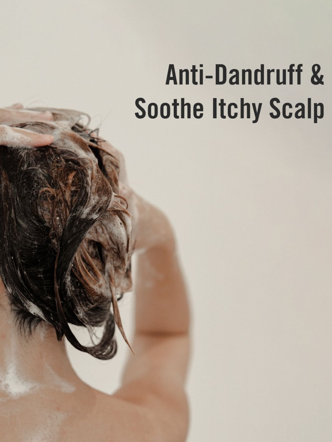 Tea Tree Charcoal Shampoo Deep Cleansing