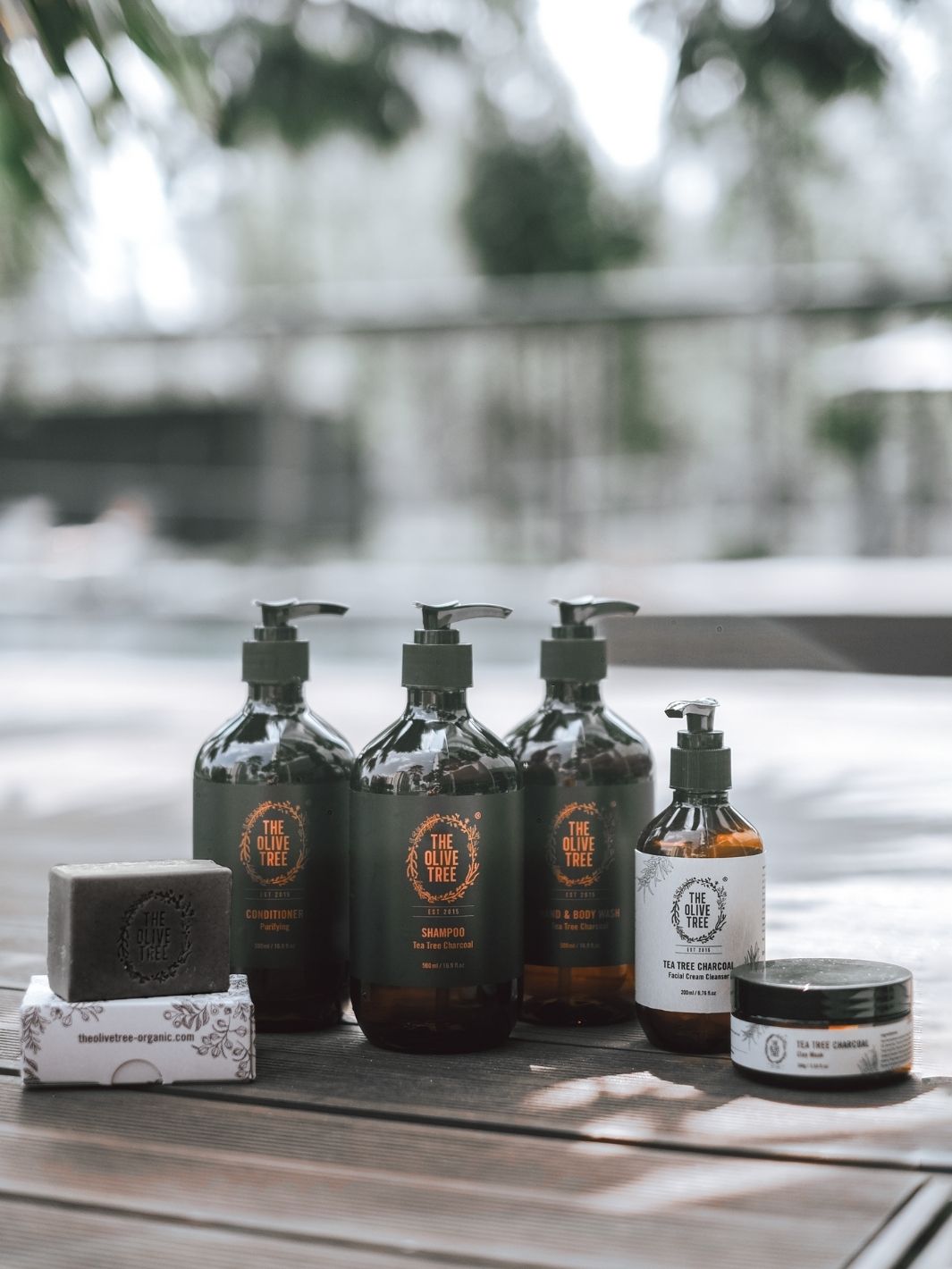 Purifying Tea Tree Charcoal Hand Body Wash Calm Acne and Pimples