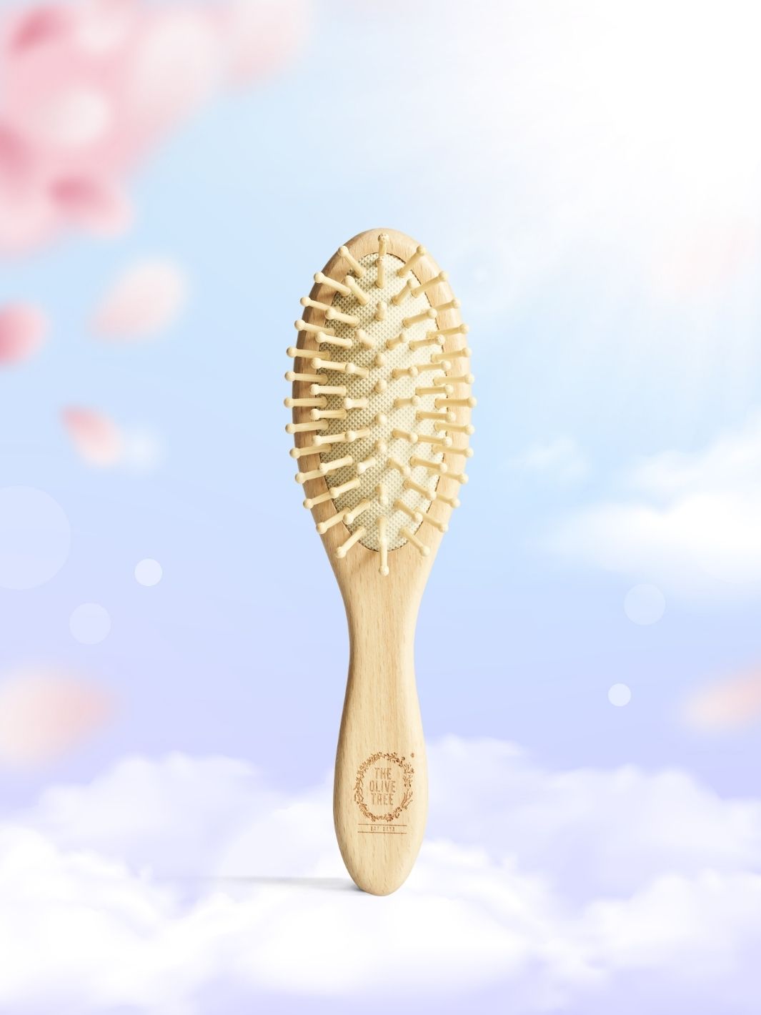 Wooden Hair Brush [ GIFT ]